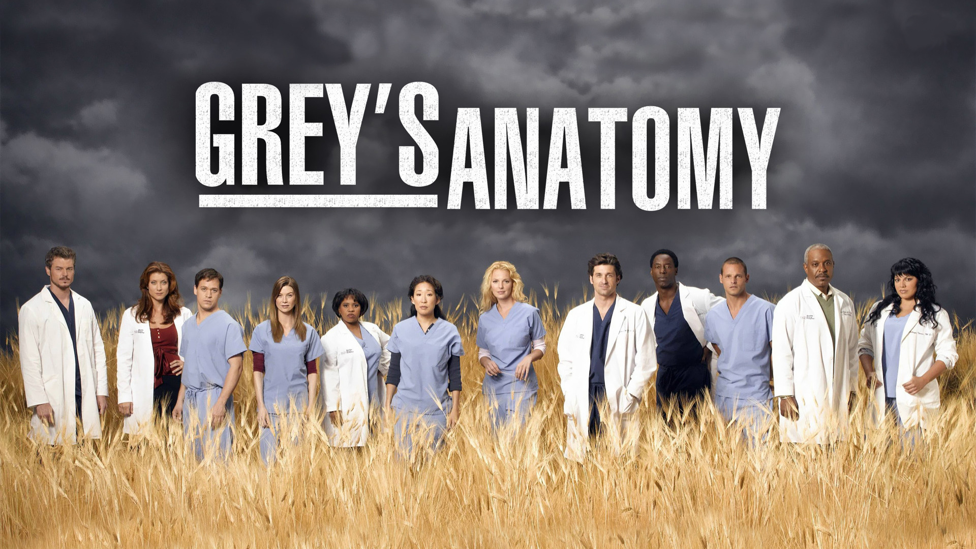Greys Anatomy savoir ville