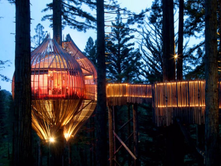 the-redwoods-treehouse
