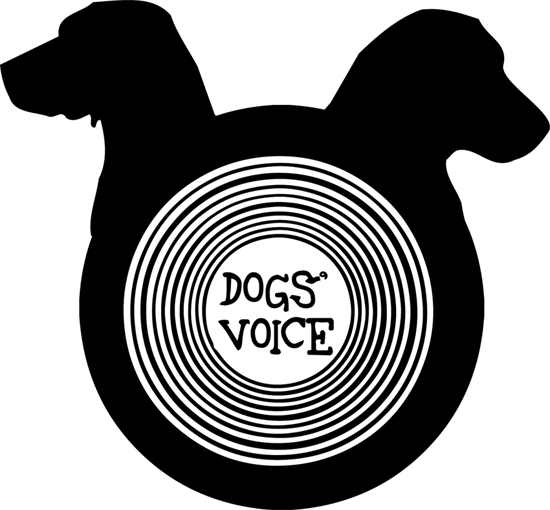 Dogs’ Voice: Η πλατφόρμα στήριξης φιλοζωικών οργανώσεων που πρέπει να γνωρίζεις
