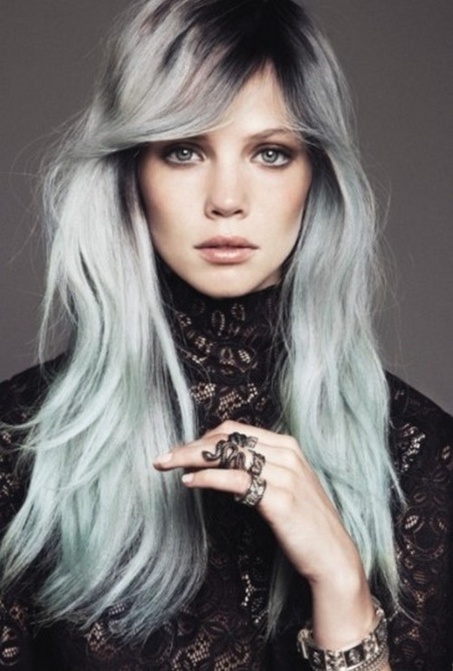 silver-hair-color-kit (Custom)