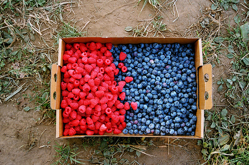 strawberries-blueberries-bag-beautiful-food-vintage-photo-photography-sweet-hungry-Favim.com-461945