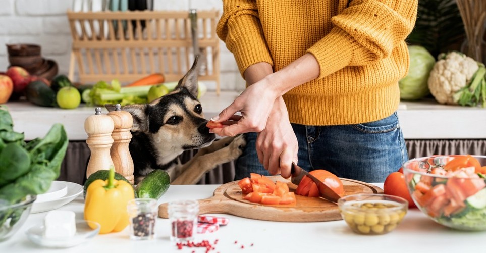 10 λαχανικά που επιτρέπεται να φάει ο σκύλος μας