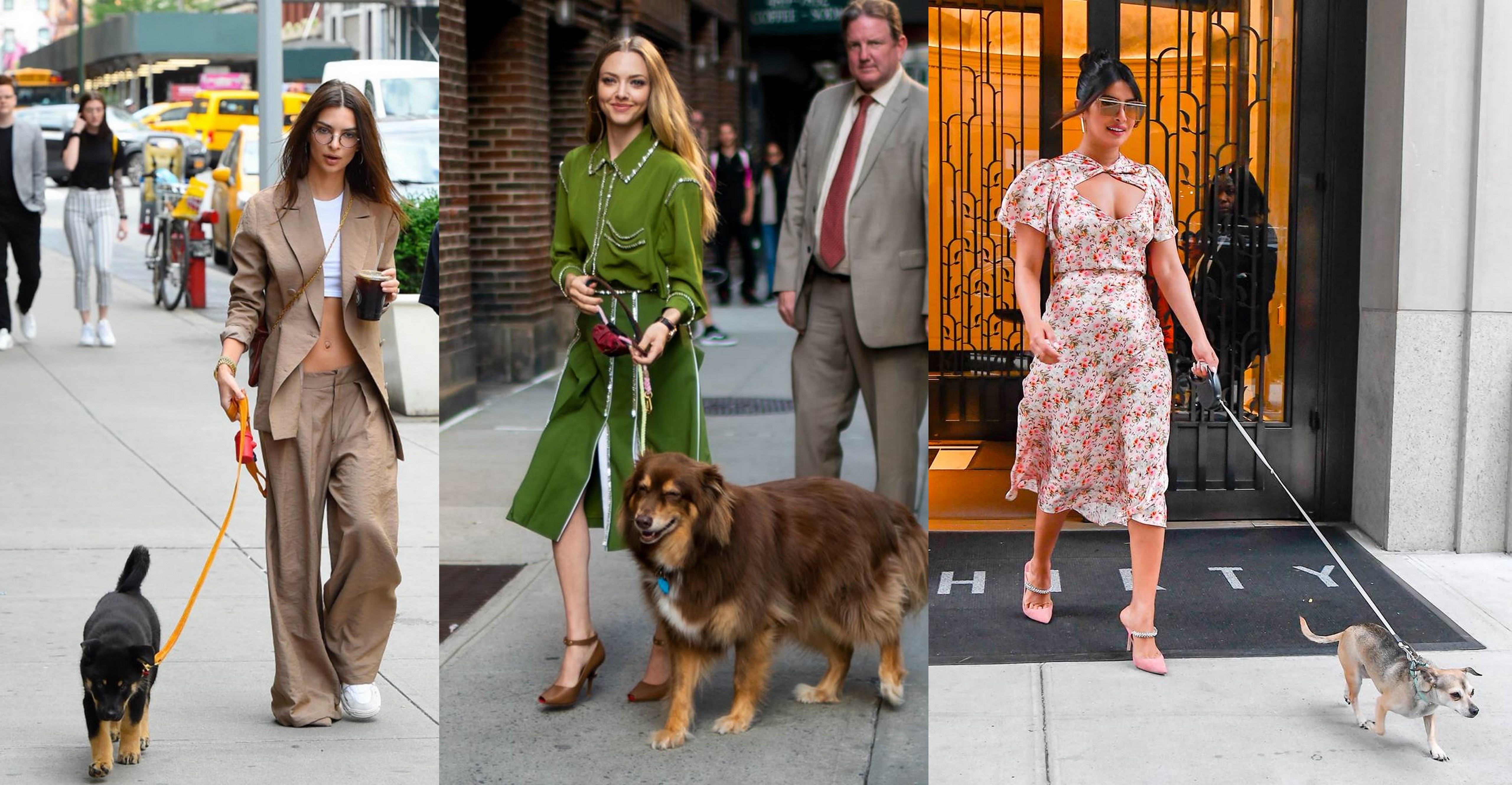 12 φορές που οι celebrities έκαναν τη βόλτα με τον σκύλο τρομακτικά in style