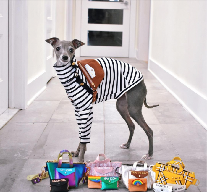Tika the Iggy O πιο fashionable σκύλος του Instagram