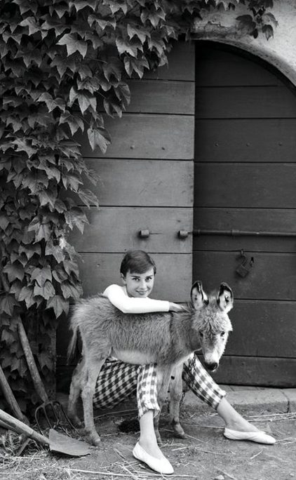 6 φωτογράφοι κατέγραψαν την backstage ζωή της Audrey Hepburn