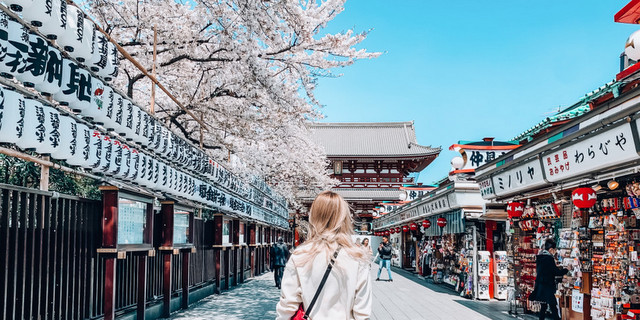 Οι κερασιές στην Ιαπωνία φέτος θα ανθίσουν νωρίτερα από το αναμενόμενο