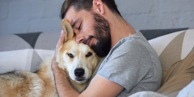 Οι σκύλοι μισούν στ'αλήθεια τις αγκαλιές;