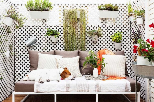 Τρόποι να φροντίσεις τα φυτά στο μπαλκόνι σου χωρίς να γίνεις guru της κηπουρικής